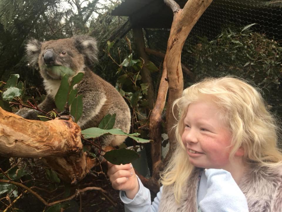 Fauna Australia Wildlife Retreat Lavers Hill Exterior foto
